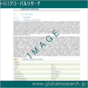 グローバルリサーチ調査レポートのイメージ